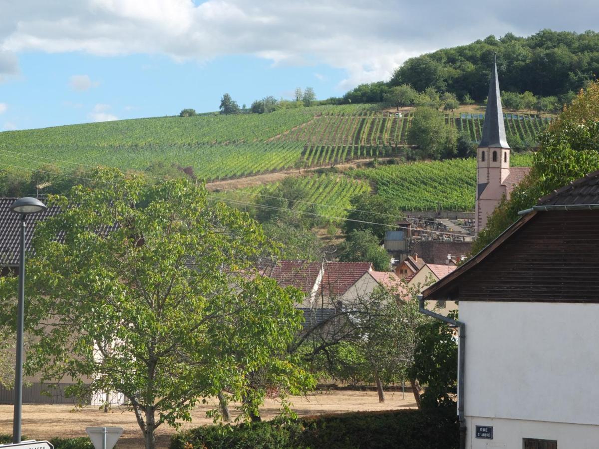 La Bonneterie Hotel Andlau-au-Val Bagian luar foto