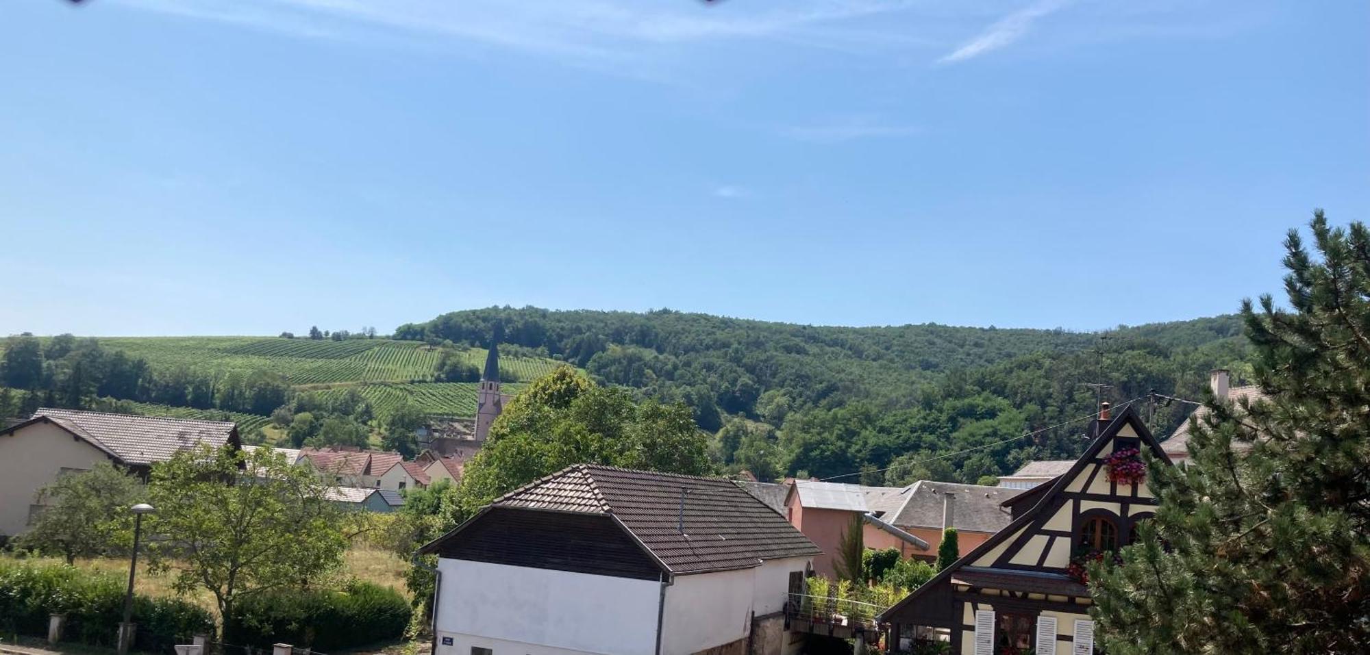 La Bonneterie Hotel Andlau-au-Val Bagian luar foto